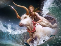 Картина ЖФ067