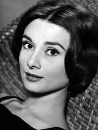 Картина ЖP002