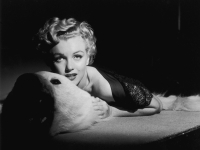 Картина ЖP041