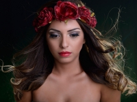 Картина ЖС006