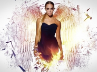 Картина ЖС016