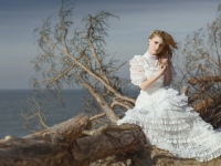 Картина ЖС030