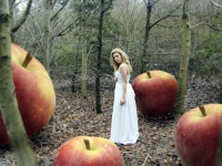 Картина ЖС033