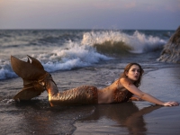 Картина ЖС035