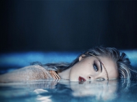 Картина ЖС043