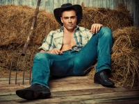 Картина МС005