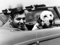 Картина МР007