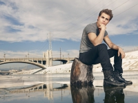 Картина МС022