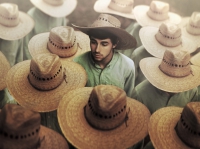 Картина МС023