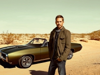 Картина МС027