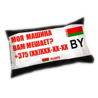 Подушка "Госномер", габардин, размер 30х50 см