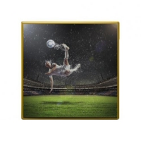 Магнит акриловый 65мм х 65мм, позолоченный